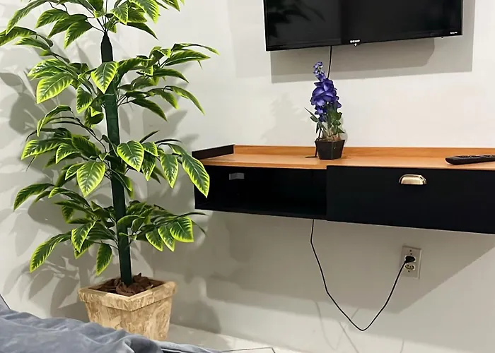 Apartamento Completo E Central! Casa Joana!